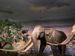 -湖南省地质博物馆