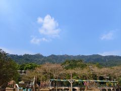 -东部华侨城