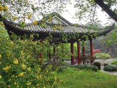 -杭州植物园