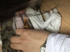 -中农大我爱我爱24h动物医院·中医针灸·猫专科·骨科医疗中心(双井店)