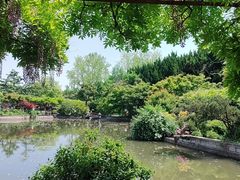 -嘉定紫藤园