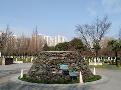 -白塘生态植物园