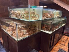 -樱之盛宴·蟹料理海鲜自助(前进大街店)