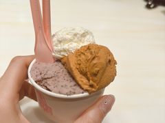 -红楼HONGLOU Gelato(淮海中路店)