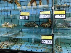 -海岛渔村大酒店(云霄路店)
