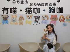 -有喵·猫咖·狗咖·30几只猫10只小狗(岗厦店)