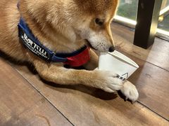 -回声星球·团建策划·赛事承办·拓展培训(大钟寺店)