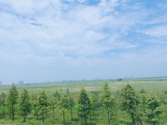 -南汇嘴观海公园