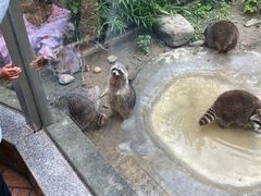 -成都动物园