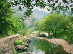 -楠溪江石桅岩