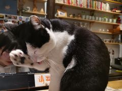 -猫的天空之城概念书店(杭州南宋御街店)