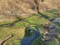 -白水寺森林公园