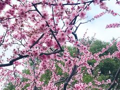 景点-静安雕塑公园