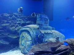 -海合安武汉极地海洋公园