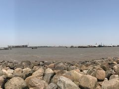 -吴淞炮台湾湿地森林公园烧烤区