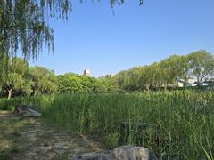 -东升八家郊野公园