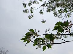 -府河摄影公园