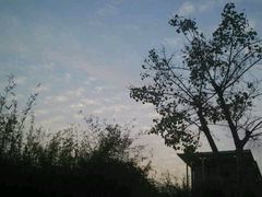 傍晚-中国移动南方基地