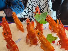-上海滩餐厅(BFC外滩金融中心店)