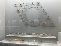 -贝壳王国博物馆