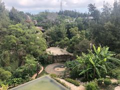 -厦门园林植物园-植物园滴水山房