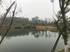 -黄龙溪欢乐田园