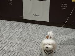-M Stand(成都COSMO店)