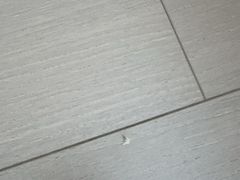 -极致味道动物奶油生日蛋糕(时尚店)