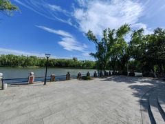 -华东政法大学(松江校区)