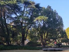 -浙江大学(玉泉校区)