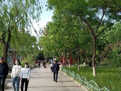 -文瀛公园