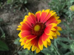 -北运河水利风景区