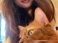 -毛绒耶耶撸宠馆·猫咖·狗咖·荷兰猪咖