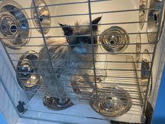 -佳雯宠物医院(金华南路分院)