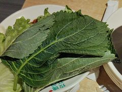 -玫瑰花园自助烤肉(顺义鑫海韵通店)