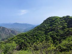 -大岭沟猕猴桃谷风景区