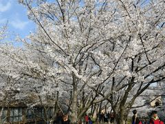 -浙江大学(玉泉校区)