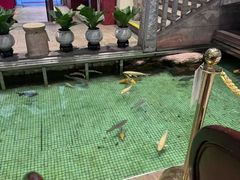 -金河半岛园林酒家(金融城店)