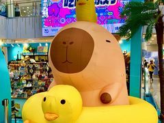 -凯德MALL(西直门店)