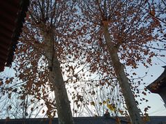 -八路军西安办事处纪念馆