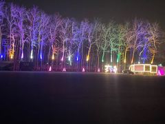 -枫花园汽车电影院(朝阳公园店)