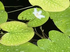 -31号公馆·百年府邸潇湘臻味