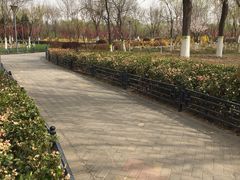 -大兴滨河森林公园