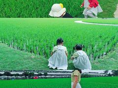 -迪茵湖田家舍生态农场