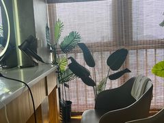 -施奈儿.洗头頭療.按摩SPA.采耳(上梅林店)