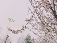 -三里河公园