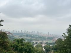 -青礁慈济宫