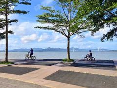 -深圳湾公园(南山区)