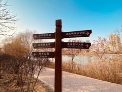 -水车博览园