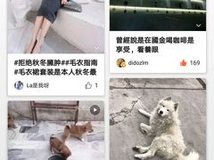 -Seesaw Coffee(上海国金中心店)